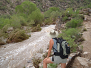 photo thumbnail #2
