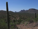 photo thumbnail #4