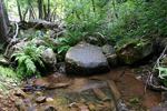 photo thumbnail #3