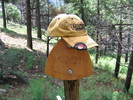 photo thumbnail #5