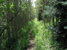 photo thumbnail #8