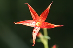 photo thumbnail #6