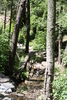 photo thumbnail #10