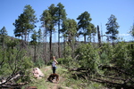 photo thumbnail #15