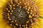 photo thumbnail #15