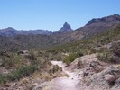 photo thumbnail #2