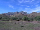 photo thumbnail #2