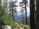 photo thumbnail #9