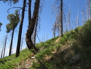 photo thumbnail #10