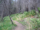photo thumbnail #13