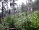 photo thumbnail #1