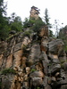 photo thumbnail #7