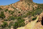 photo thumbnail #11