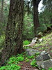 photo thumbnail #10