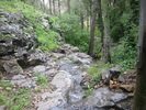 photo thumbnail #6