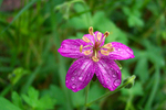 photo thumbnail #11