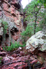 photo thumbnail #12
