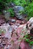 photo thumbnail #13