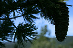 photo thumbnail #15