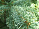 photo thumbnail #11