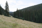 photo thumbnail #12