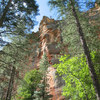 photo thumbnail #1