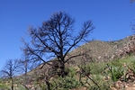 photo thumbnail #6