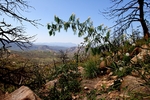 photo thumbnail #7