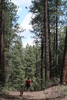 photo thumbnail #9