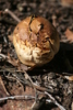 photo thumbnail #8