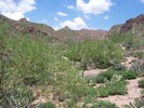 photo thumbnail #6