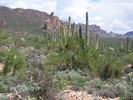 photo thumbnail #14