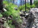 photo thumbnail #5