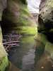 photo thumbnail #11
