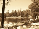photo thumbnail #5