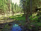 photo thumbnail #8
