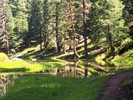 photo thumbnail #10