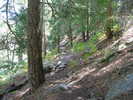 photo thumbnail #12