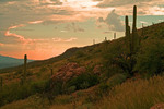 photo thumbnail #3