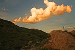 photo thumbnail #10