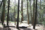 photo thumbnail #14