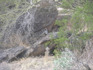 photo thumbnail #3