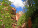 photo thumbnail #6