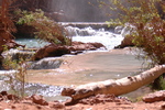 photo thumbnail #7