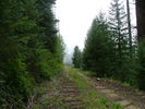 photo thumbnail #8
