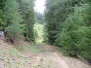 photo thumbnail #9