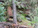 photo thumbnail #13