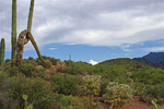 photo thumbnail #10