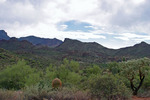 photo thumbnail #12