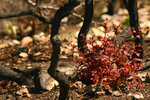 photo thumbnail #9
